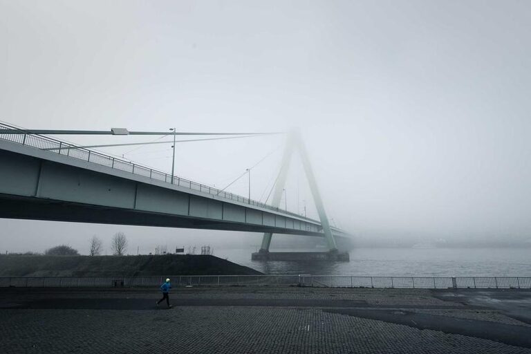 Tygodniowy jadłospis, który ułatwia codzienne zakupy